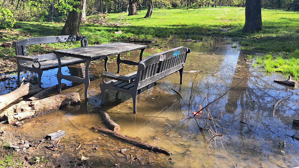 Tražimo hitnu sanaciju Kameničkog parka!