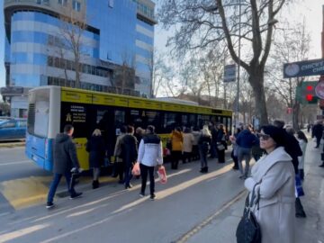 TRAŽIMO VIŠE AUTOBUSKIH POLAZAKA PREMA I IZ PETROVARADINA!