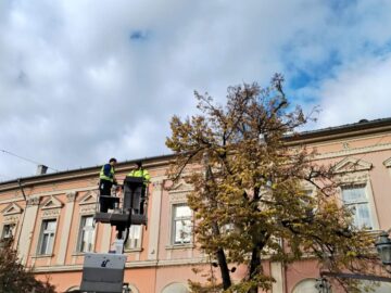 Tražimo da se novogodišnje ukrašavanje Novog Sada obustavi sve dok se istraga i suđenje za zločin na Železničkoj stanici ne okončaju
